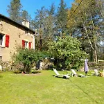Les Cèdres Bleus De Joany Viviez