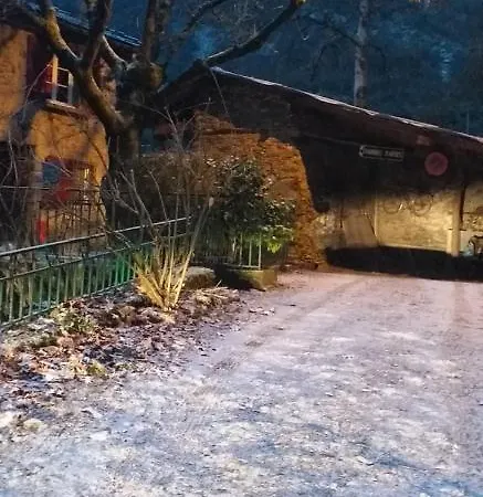 Cedres Bleus De Joany Chez Nathalie