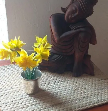 Cedres Bleus De Joany Chez Nathalie Gæstehus Viviez