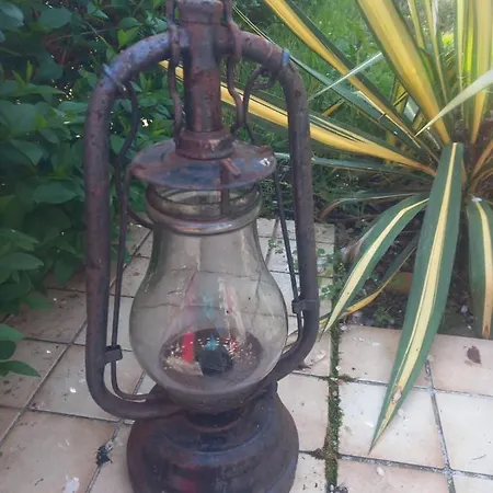 Cedres Bleus De Joany Chez Nathalie Viviez