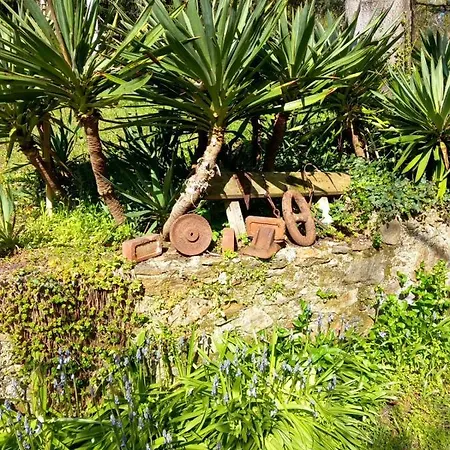 Cedres Bleus De Joany Chez Nathalie Gæstehus Viviez