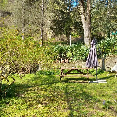 Cedres Bleus De Joany Chez Nathalie Gæstehus