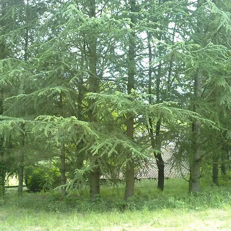 Cedres Bleus De Joany Chez Nathalie 3* Viviez