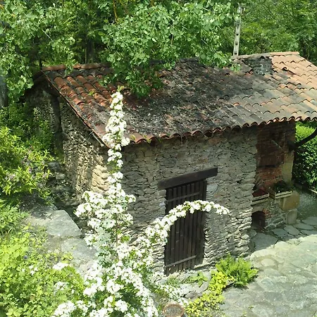 Cedres Bleus De Joany Chez Nathalie 3* Viviez