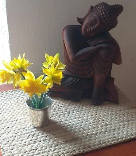 Les Cèdres Bleus De Joany Maison d'hôtes Viviez