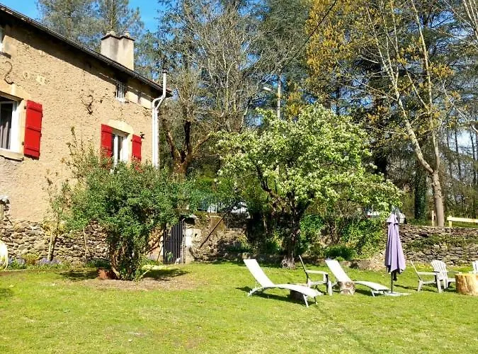 Cedres Bleus De Joany Chez Nathalie Viviez