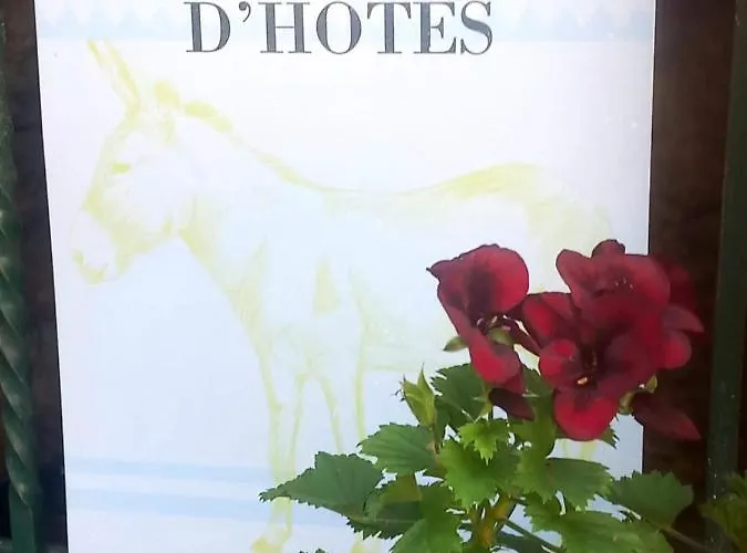 Cedres Bleus De Joany Chez Nathalie 3* Viviez