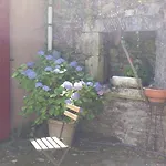 ゲストハウス Cedres Bleus De Joany Chez Nathalie
