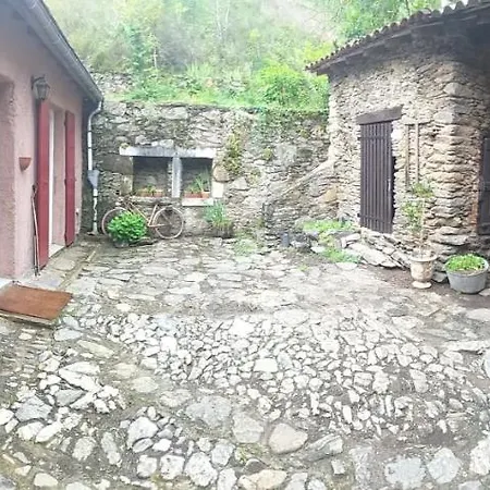 Les Cèdres Bleus De Joany Viviez