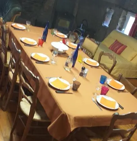 Les Cèdres Bleus De Joany Viviez