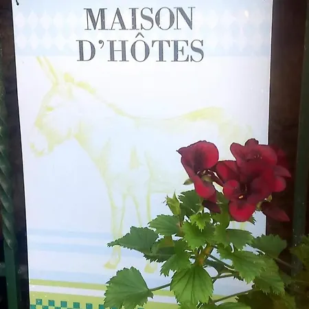 Cedres Bleus De Joany Chez Nathalie 3* Viviez