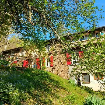 Cedres Bleus De Joany Chez Nathalie 3*