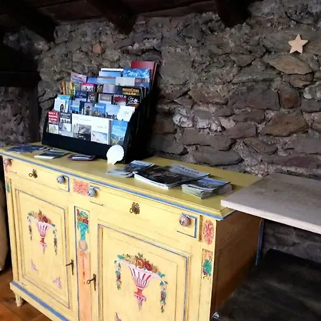 Les Cèdres Bleus De Joany