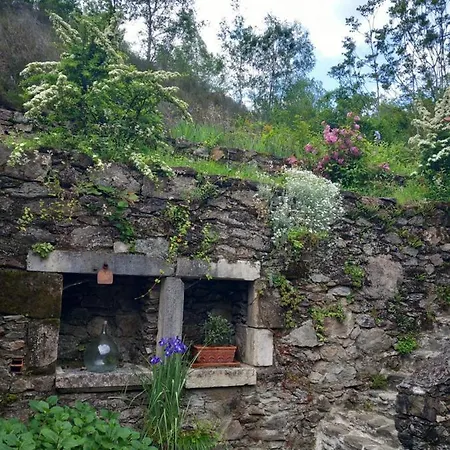 Maison d'hôtes Les Cèdres Bleus De Joany Viviez