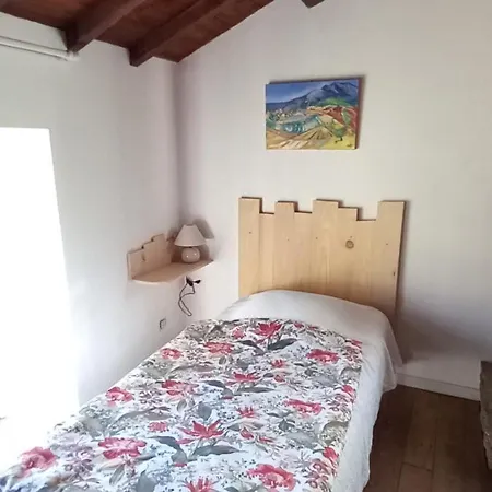 Les Cèdres Bleus De Joany