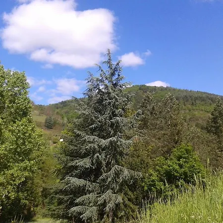 Les Cèdres Bleus De Joany Maison d'hôtes Viviez