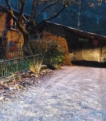 Cedres Bleus De Joany Chez Nathalie