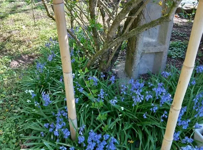 Cedres Bleus De Joany Chez Nathalie ゲストハウス