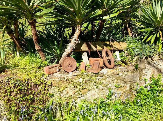 Cedres Bleus De Joany Chez Nathalie ゲストハウス Viviez