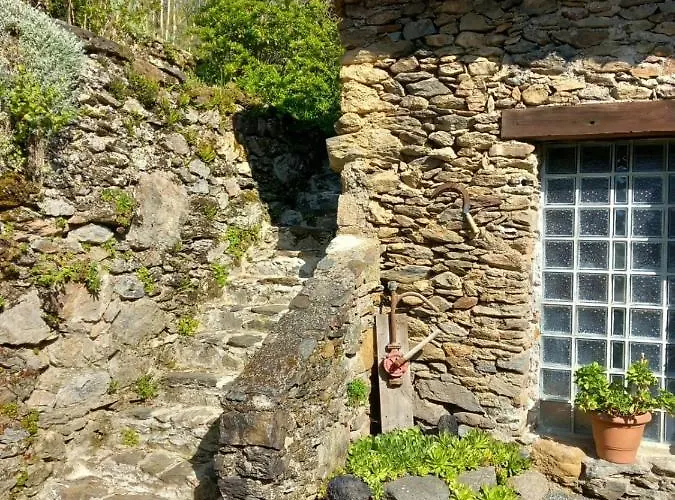 Cedres Bleus De Joany Chez Nathalie 3* Viviez