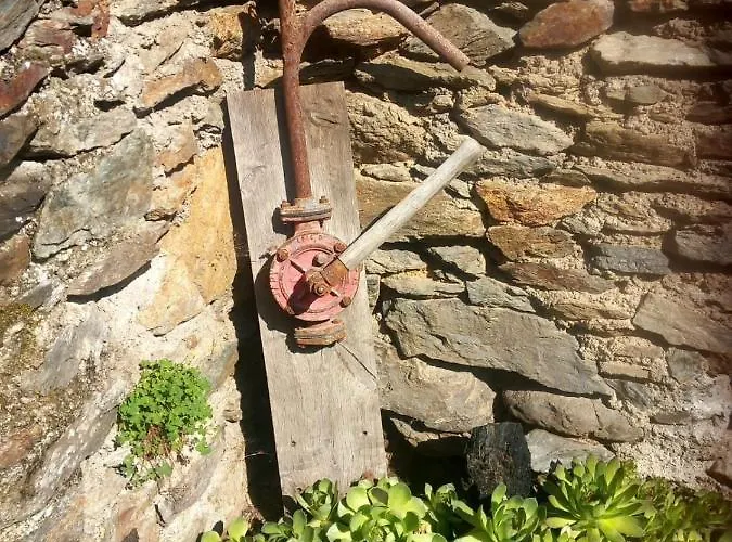 ゲストハウス Cedres Bleus De Joany Chez Nathalie 3*