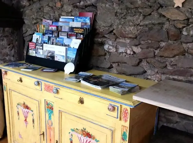 Cedres Bleus De Joany Chez Nathalie