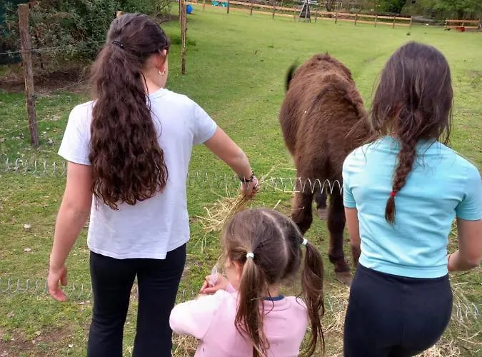 ゲストハウス Cedres Bleus De Joany Chez Nathalie