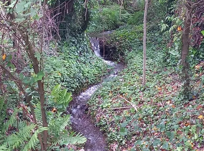 Cedres Bleus De Joany Chez Nathalie ゲストハウス Viviez