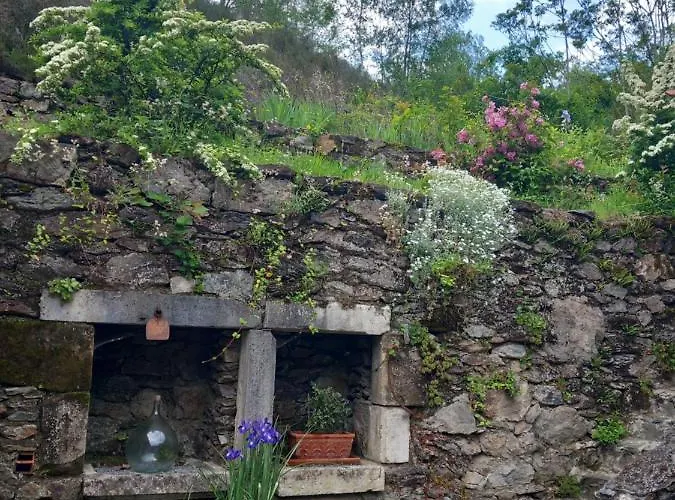 ゲストハウス Cedres Bleus De Joany Chez Nathalie Viviez