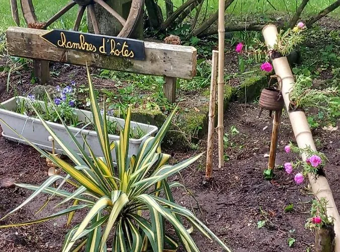 ゲストハウス Cedres Bleus De Joany Chez Nathalie