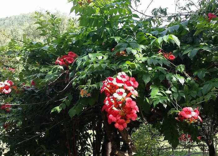 ゲストハウス Cedres Bleus De Joany Chez Nathalie Viviez