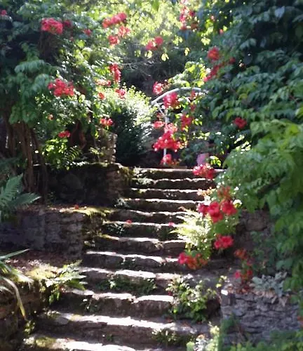 ゲストハウス Cedres Bleus De Joany Chez Nathalie 3*