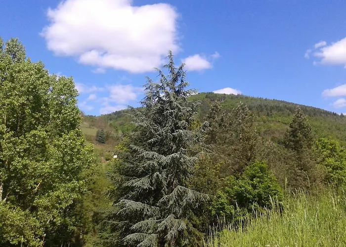 Cedres Bleus De Joany Chez Nathalie ゲストハウス Viviez